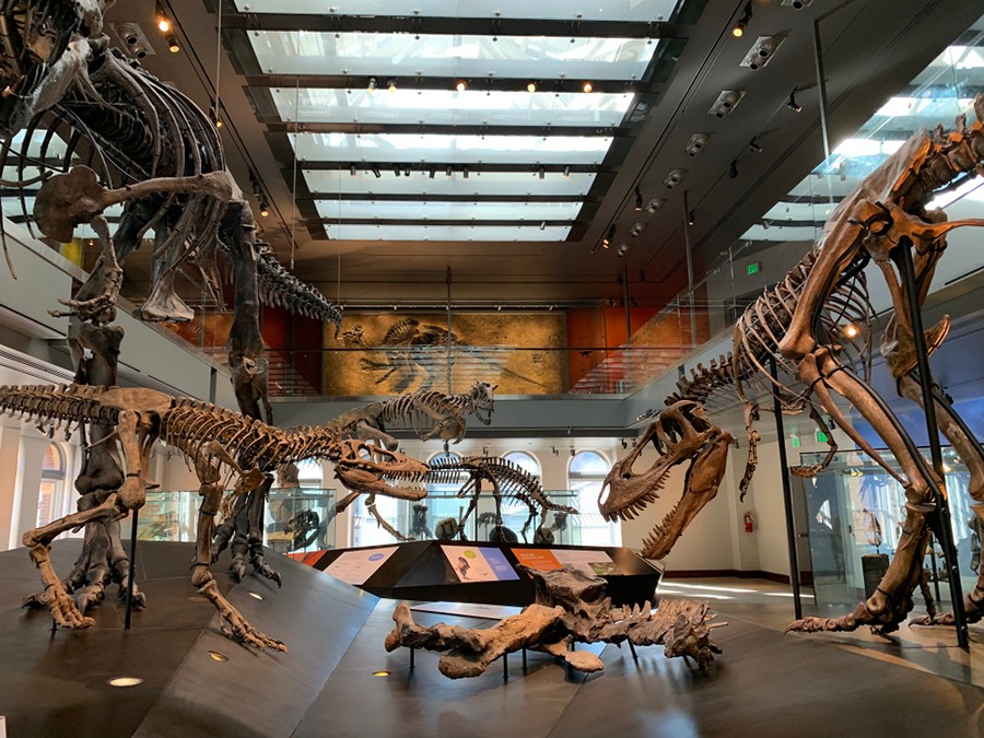 Natural History Museum of Los Angeles, Los Angeles