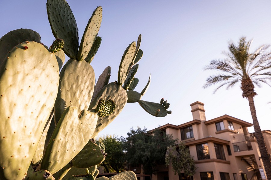 Scottsdale Links Resort, a Hilton Vacation Club (Scottsdale)