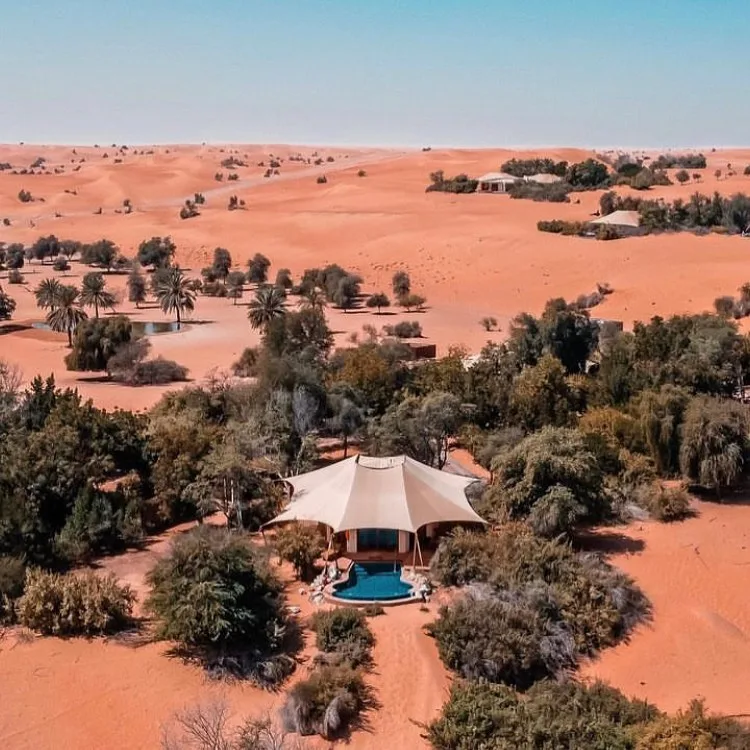 Al Maha, A Luxury Collection Desert Resort & Spa, (Dubai)