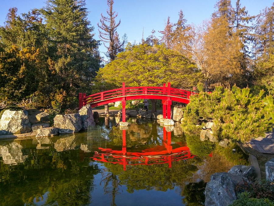 Japanese Friendship Garden, San Jose
