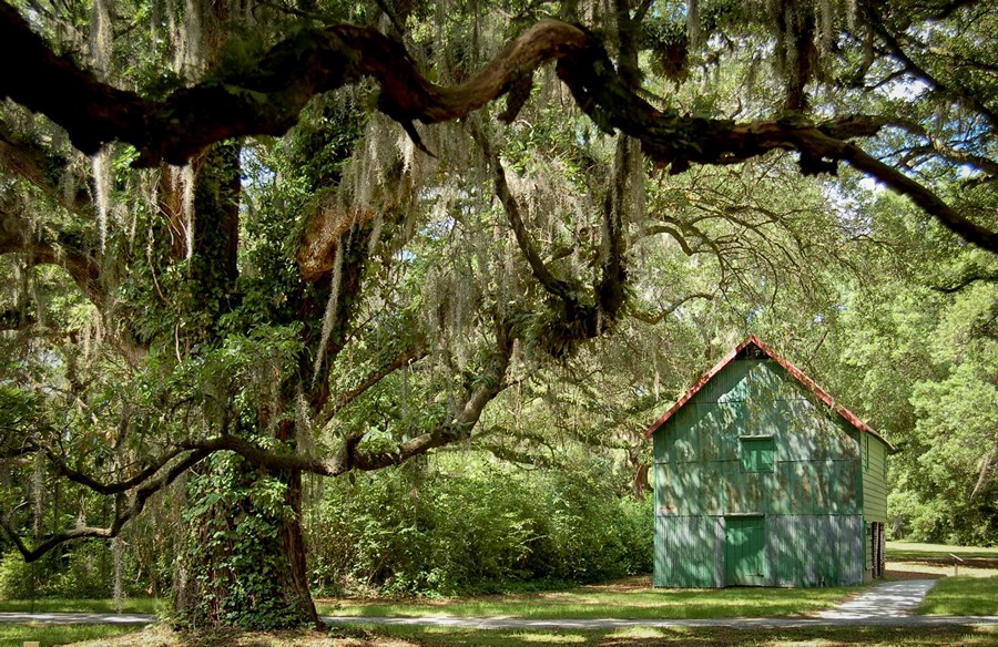 McLeod Plantation Historic Site, Charleston