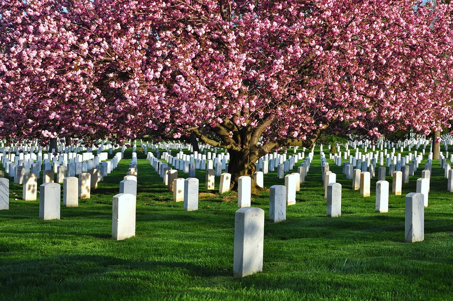 Arlington Cemetery, Washington DC