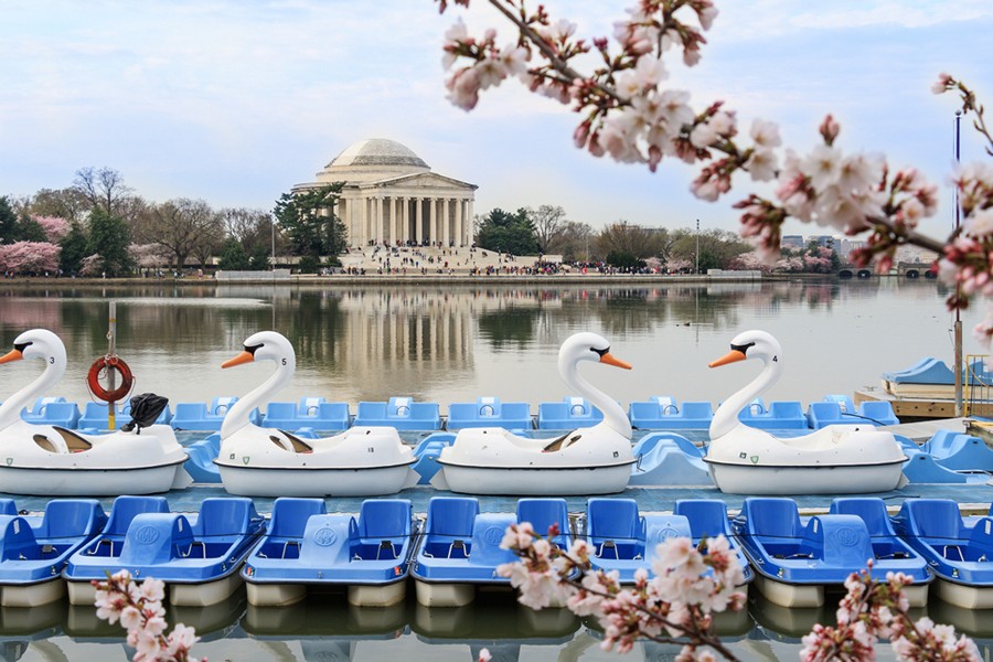 Tidal Basin with Boating in DC, Washington DC