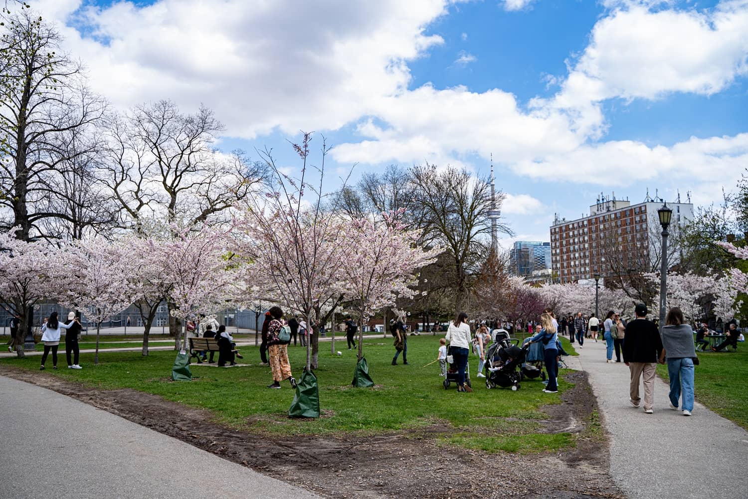 Top 10 Best Places to Stay in Toronto for Families in 2025