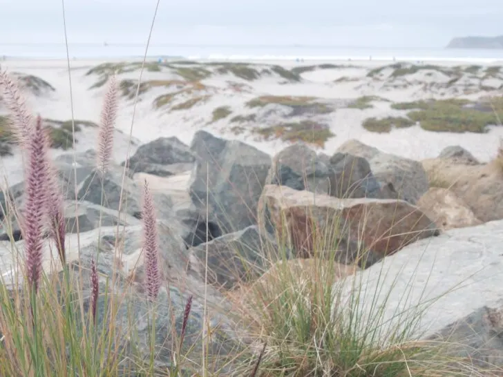 Coronado Sand Dunes Experience