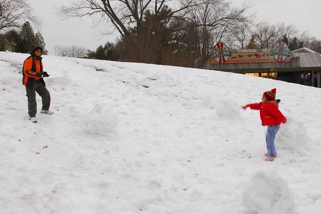 Family Adventure Packed, Toronto’s Winter