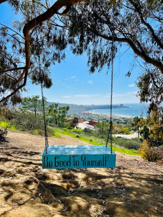 Secret Swings in La Jolla