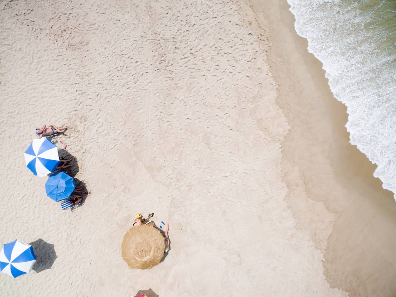 Best Family Resorts in Puerto Rico for MLK Day Celebrations