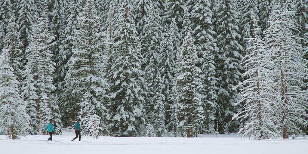 Winter Hikes in High Park & Toronto Islands