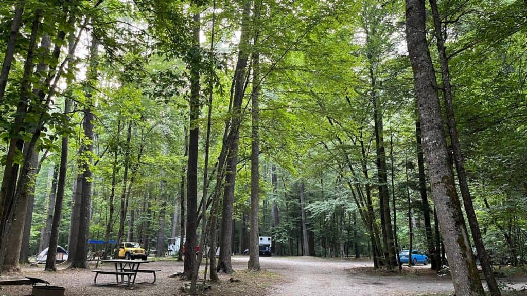 Cataloochee Campground, Great Smoky Mountains National Park
