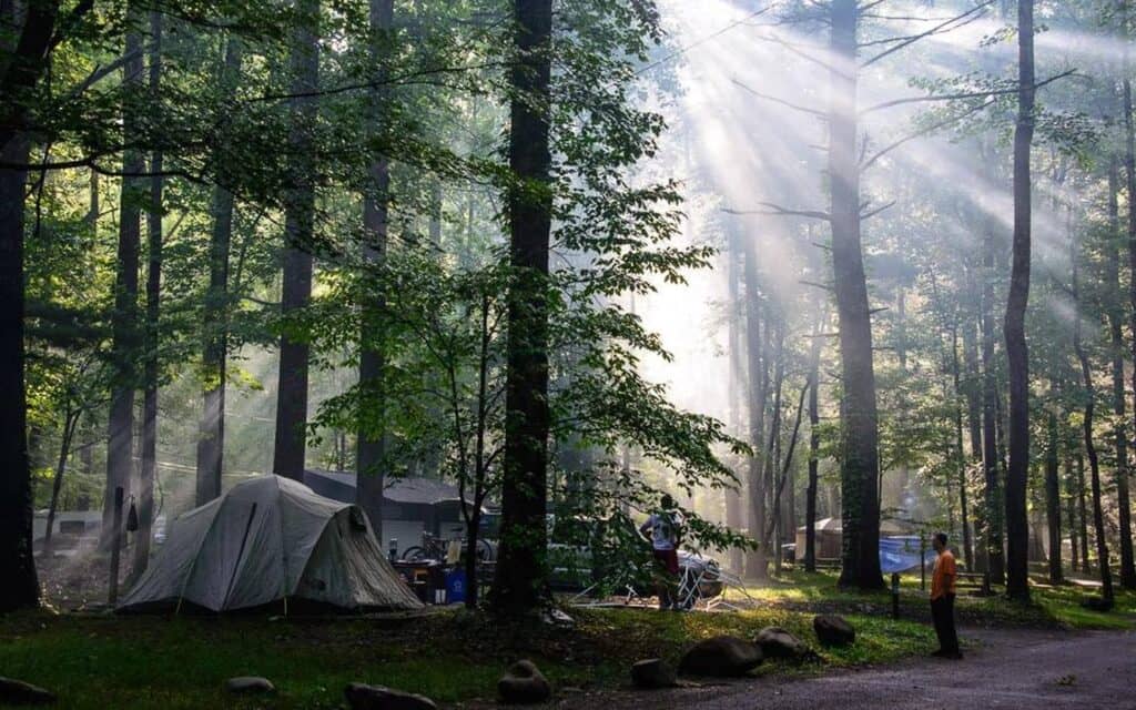 Elkmont Campground, Great Smoky Mountains National Park