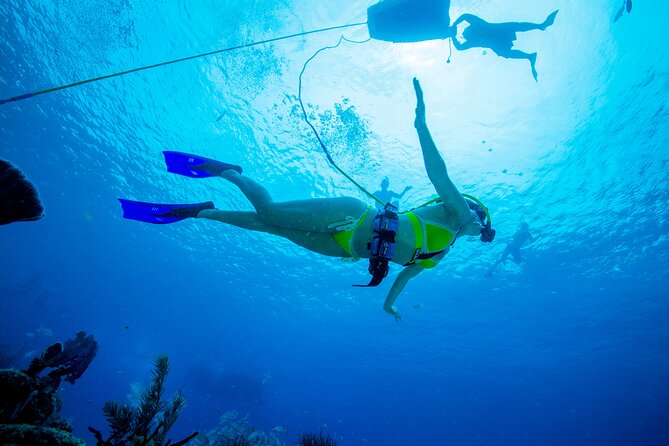 SNUBA Diving at Pelican Rock in Cabo San Lucas