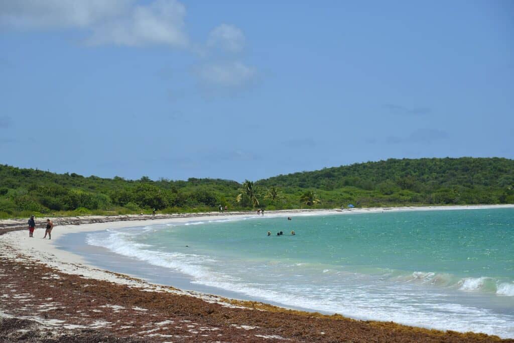 Vieques Island, Puerto Rico