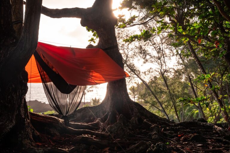 Hammock with a bug net and a rain tarp attached to two trees with early morning light. Shot in Waianapanapa State Park on the road to Hana in Maui, Hawaii USA
