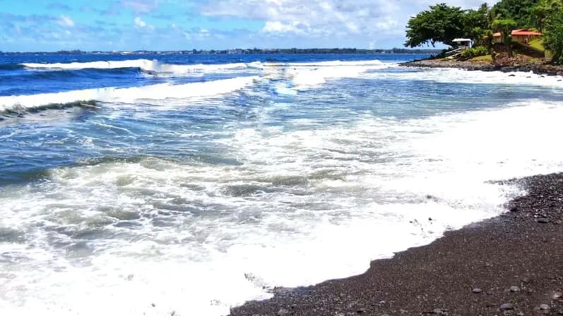 Legislation Against Snakes in Hawaii