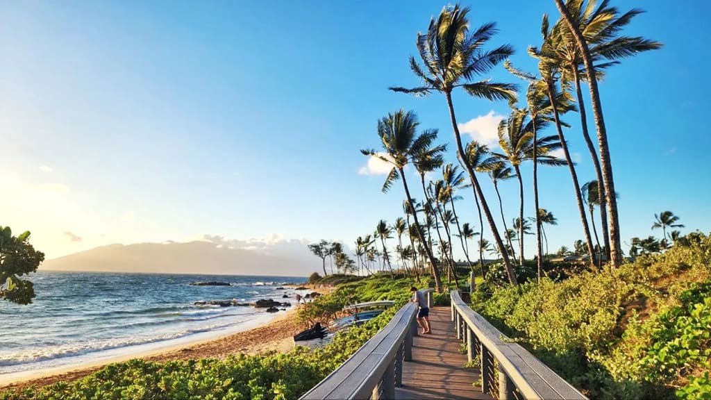 Reasons for Hawaii's Absence of Snakes in Hawaii